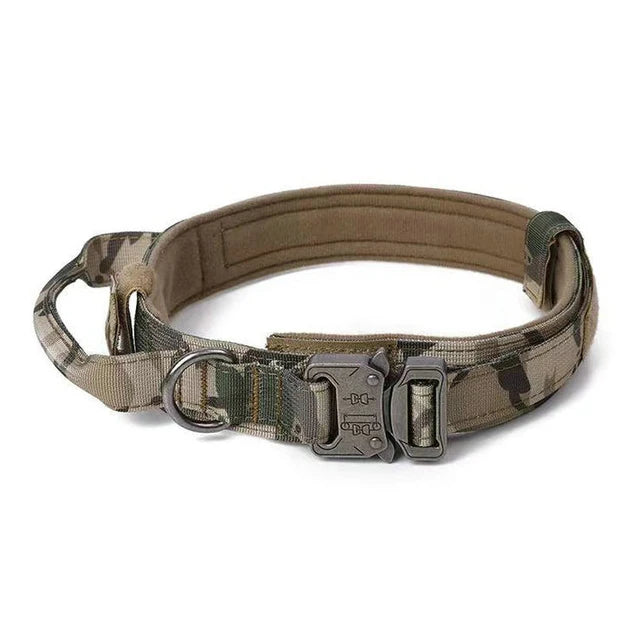 05-Collare addestramento e passeggio per cani con maniglia controllo