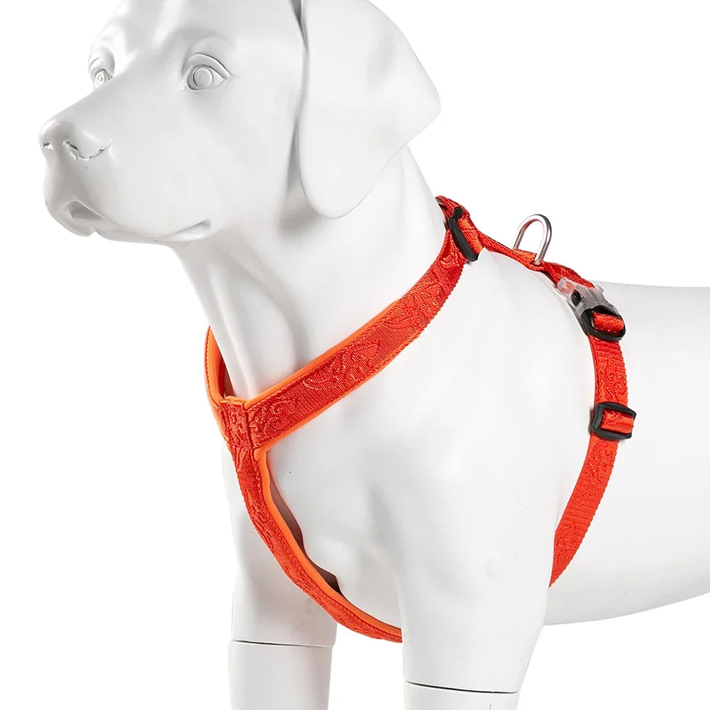 TRUELOVE Pettorina Hairy Usag Premium Trail Runner No-Pull Dog Harness 3M Reflective Straps Dog Ultra Comfortable Cross Country YH1801