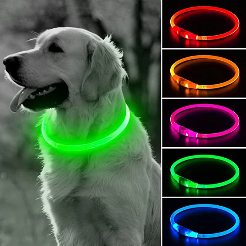 05-Collare USB a LED per Passeggiate Notturne con il Cane