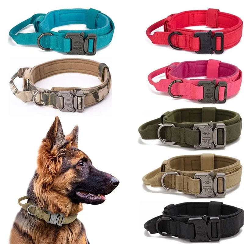05-Collare addestramento e passeggio per cani con maniglia controllo