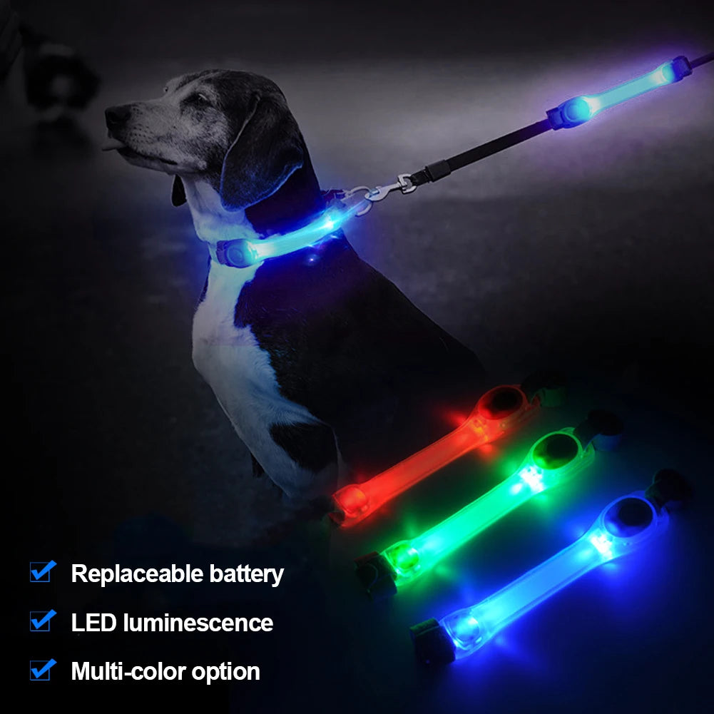 05-Collare luminosi per cani anti smarrimento.