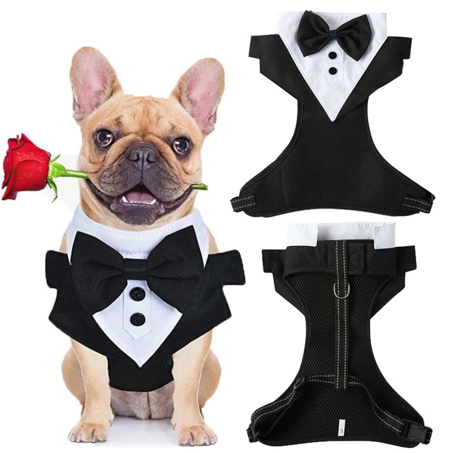 03-Pettorina formale per cuccioli con papillon per matrimonio.