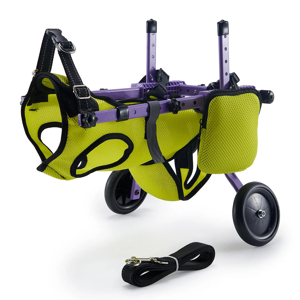 Veicolo per la riabilitazione dei caniCani di piccola tagliaVeicolo per la mobilità assistibile Veicolo per disabili per animali Veicolo per ausilio alla camminata per cani