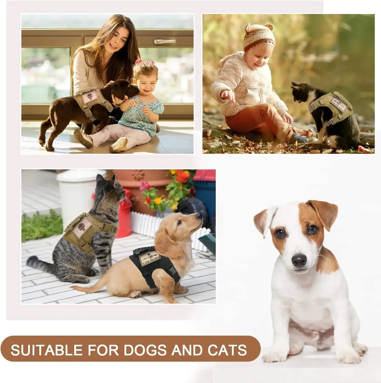 03-Gilet Tattico Regolabile per Cani Piccoli – Outdoor & Allenamento