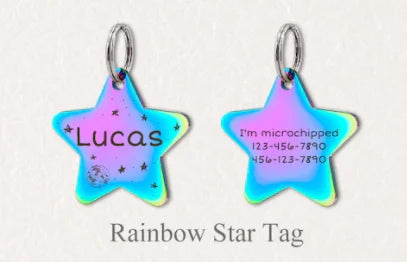 Personalize Star Shape Pet Tag With Keyring Stainless Steel Dog Name Phone Plate Steel Pendant Jewelry Making Accessories