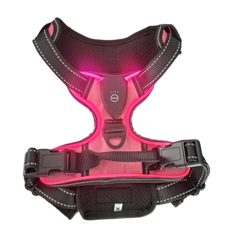Pettorina LED luminosa per cani – Pettorina con modalità di luce a LED, essenziale per la sicurezza durante le passeggiate notturne, ricaricabile e con tre modalità di illuminazione.
