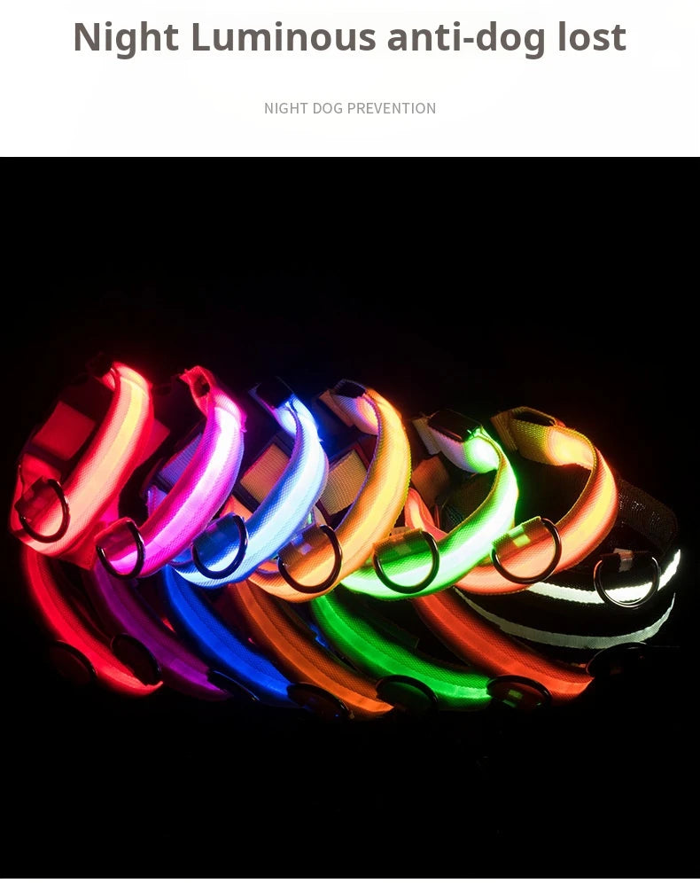 05-Collare luminoso regolabile.