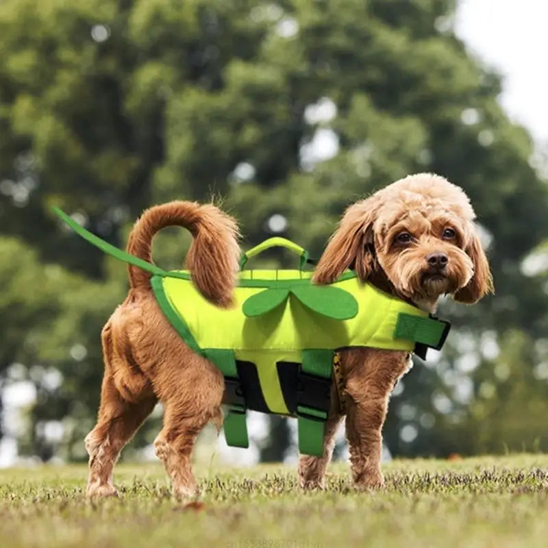 03-Life jacket per cani β Nuota sicuro in stile ape o trifoglio! ππ