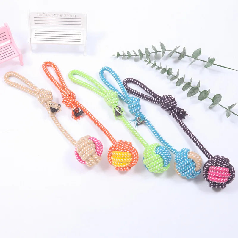 04-Gioco interattivo pet Toys.