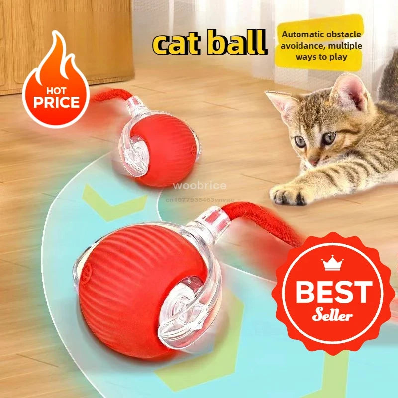 04-Giocattolo Interattivo per Gatti con Coda Elettronica