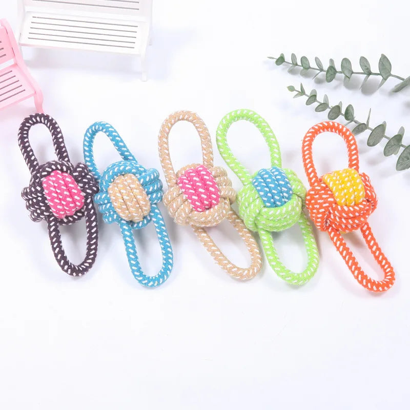04-Gioco interattivo pet Toys.