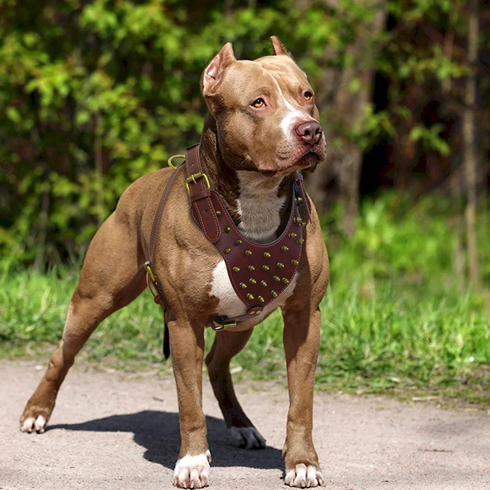 Pettorina PU Leather Big Dog Harness Spiked Studded Dog Harnesses Riveted Pet Pitbull Labrador Training Vest Durable For Medium Large Dogs