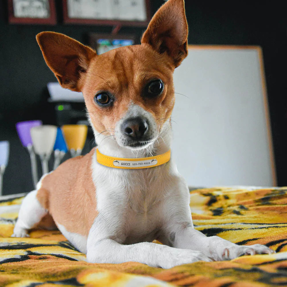 PU Leather Cat Collar Personalized Kitten Collar ID Name Engraving Pet Neck Starp For Cat Small Dog Puppy Accessories Necklace