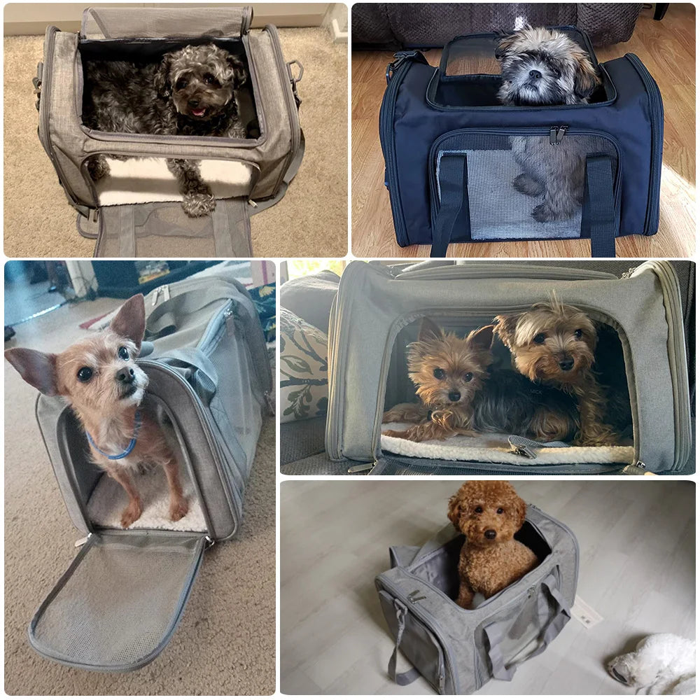 Trasportino Dog Carrier Bag Soft Side Backpack Cat Pet Carriers Dog Travel Bags Airline Approved Transport For Small Dogs Cats Outgoing