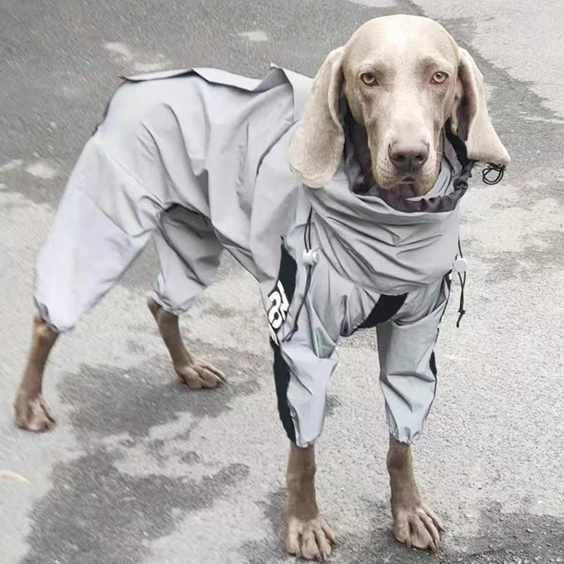 Reflective Pet Dog Jumpsuit Waterproof Raincoat Sunscreen Dog Outdoor Clothes Jacket for Small Medium Large Dog Pet Supplies