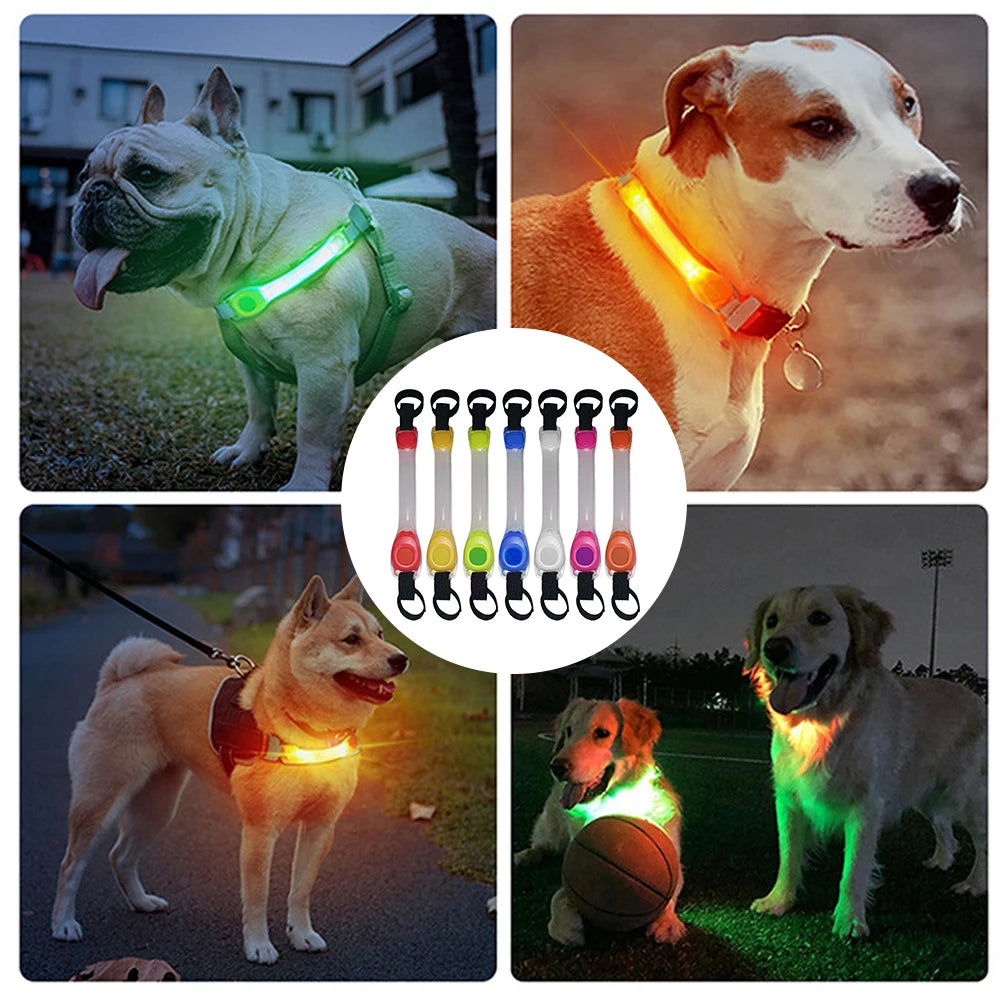 05-Collare luminosi per cani anti smarrimento.