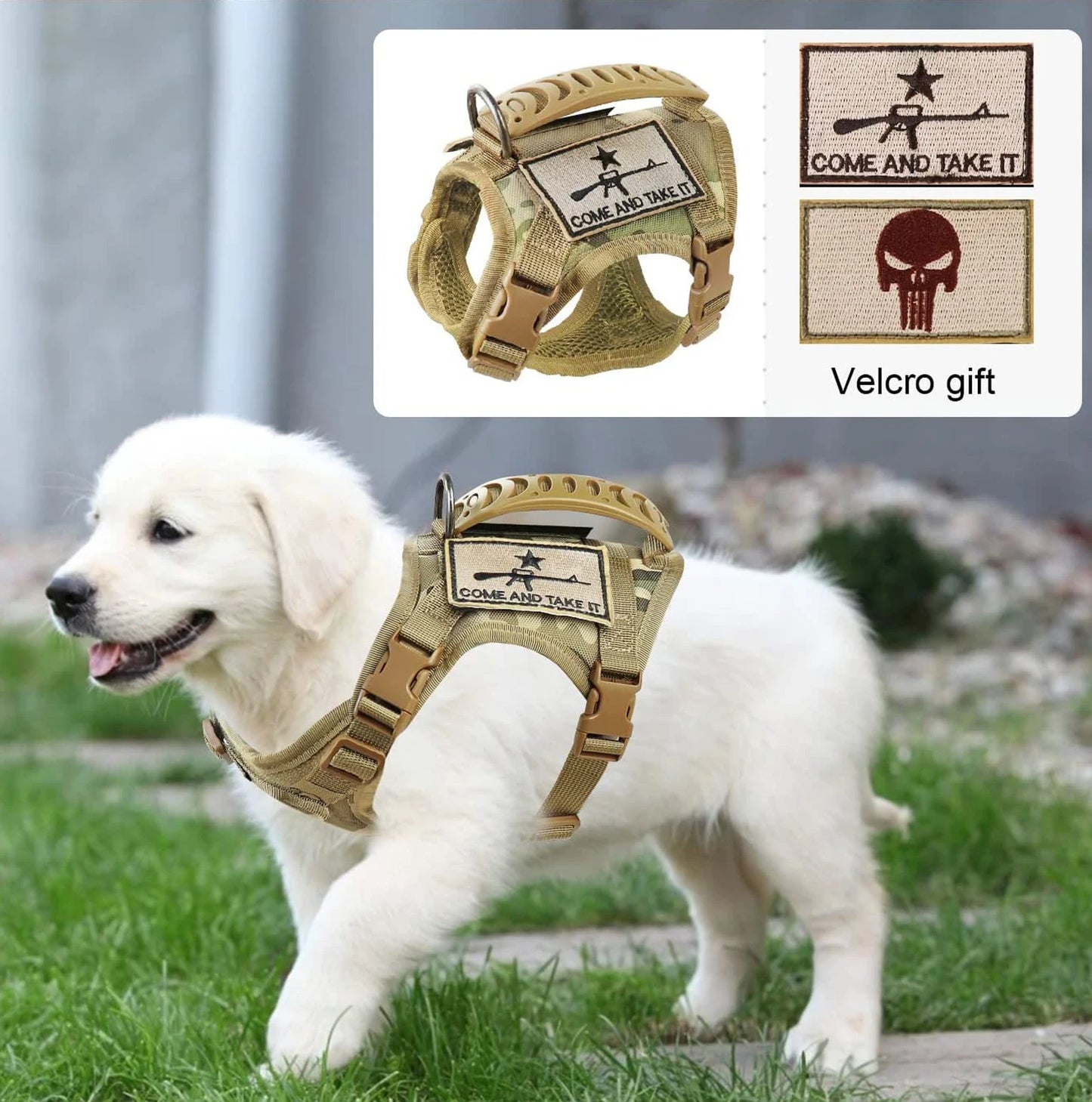 03-Gilet Tattico Regolabile per Cani Piccoli – Outdoor & Allenamento