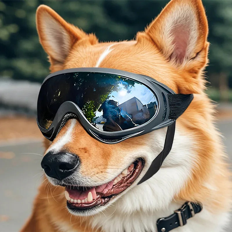 04a-Dog Vision PRO – Occhiali da Sole Anti-UV per Cani Leggendari