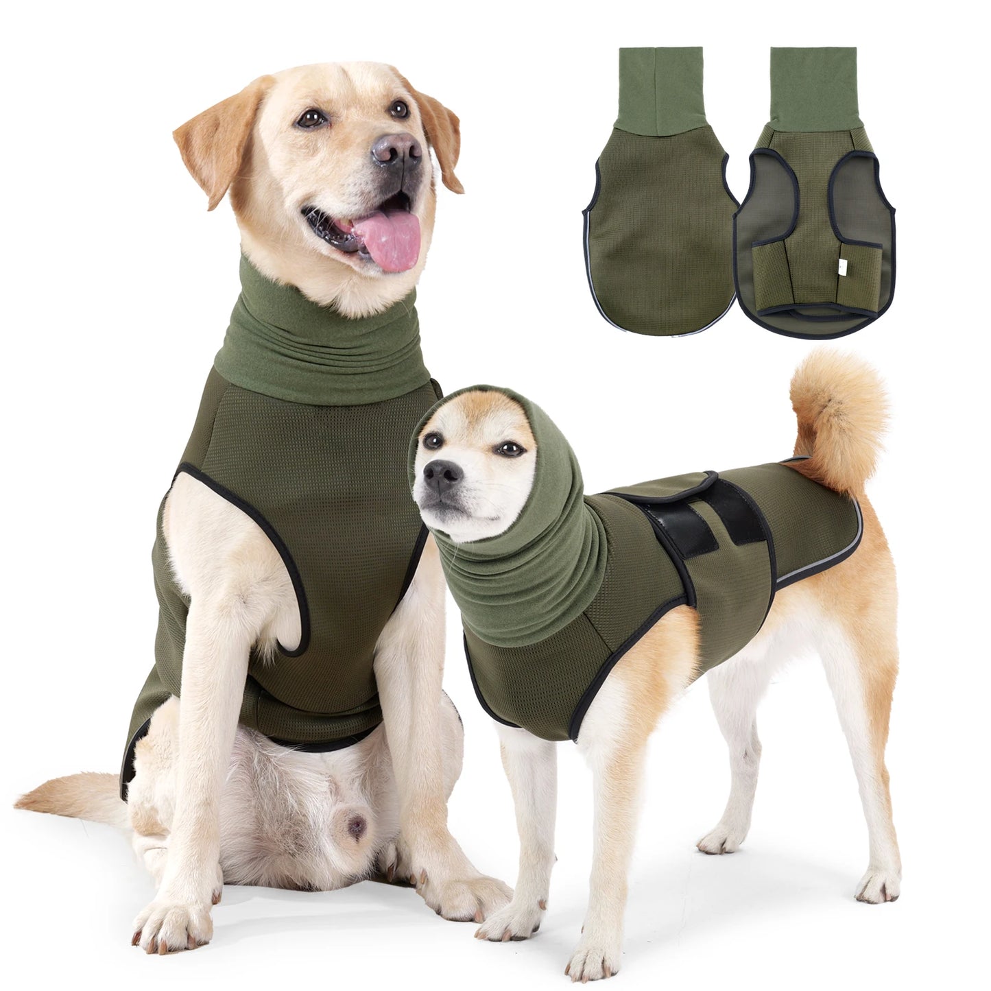 001-Gilet per l'ansia del cane-corpo e orecchie