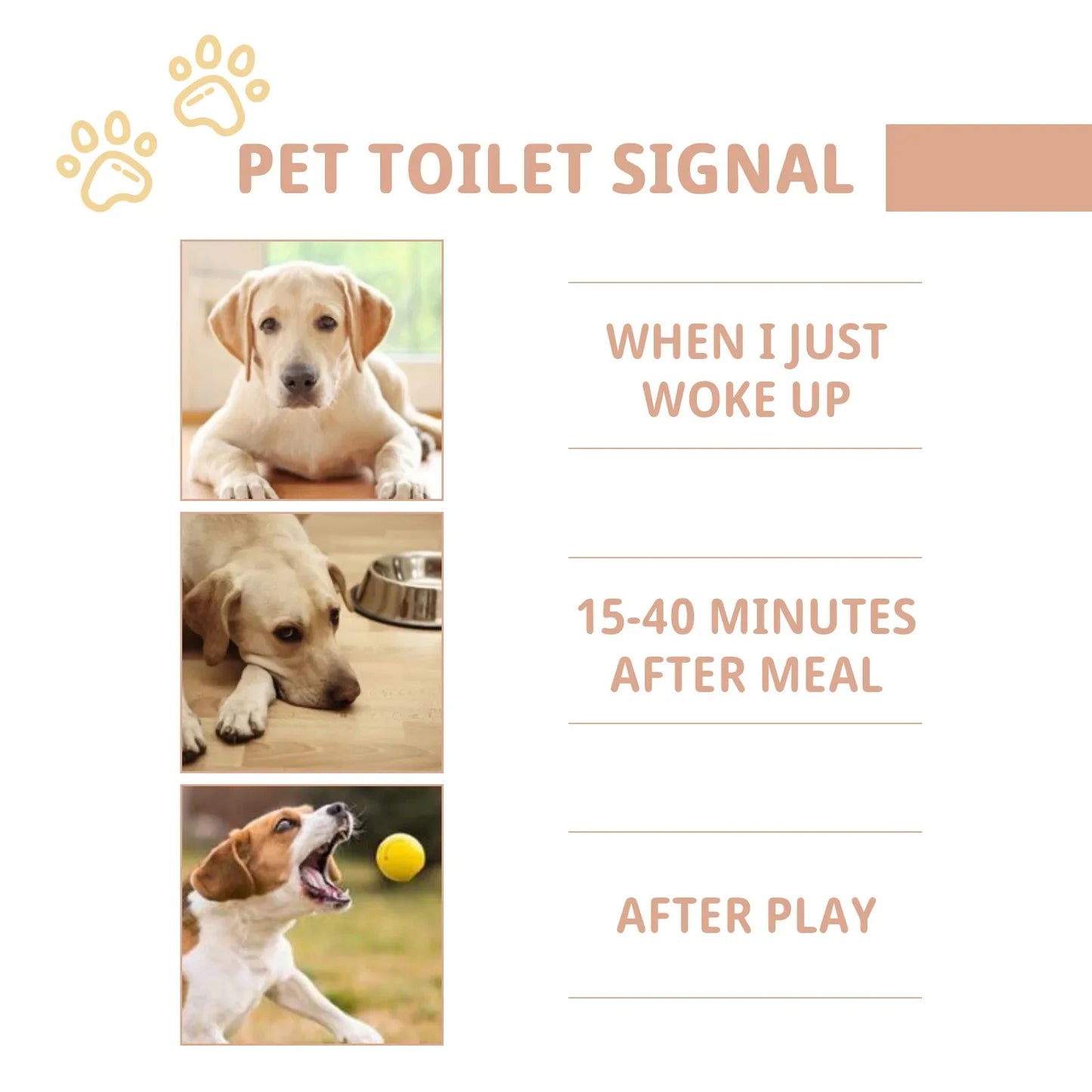 Pet Defecation Inducer Spray Positioning Defecation Indoor Outdoor Cat Potty Urinate Trainer Liquid Dog Toilet Training Spray