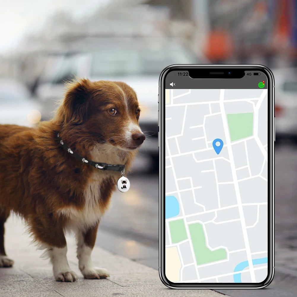 05a-localizzatore GPS Anti-smarrimento per animali.