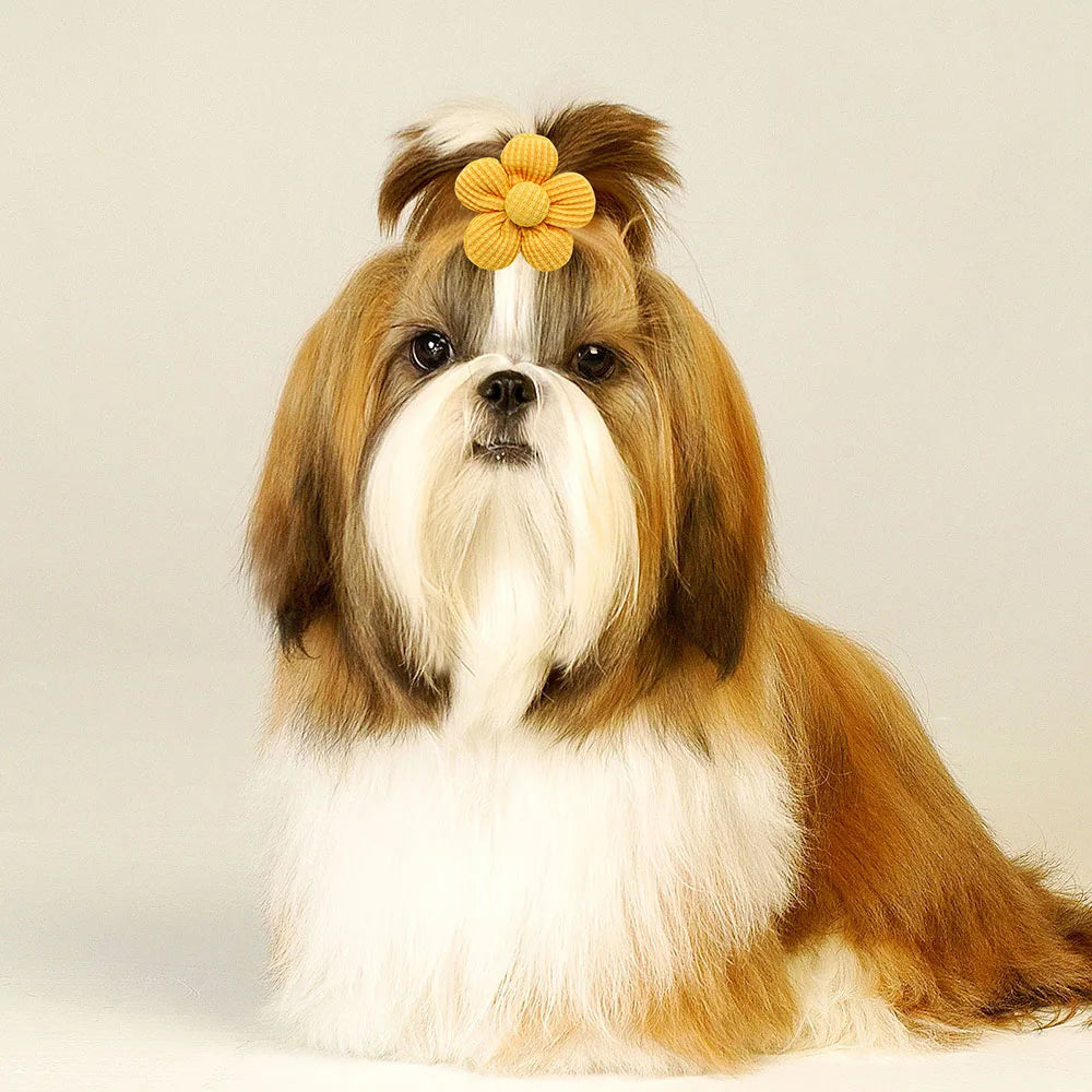 10PCS Solid Color Pet Dog Bows Puppy Flower Hair Bows Rubber Bands for Dogs Cute Cat Dog Bows Hairwear Dog Hair Accessories