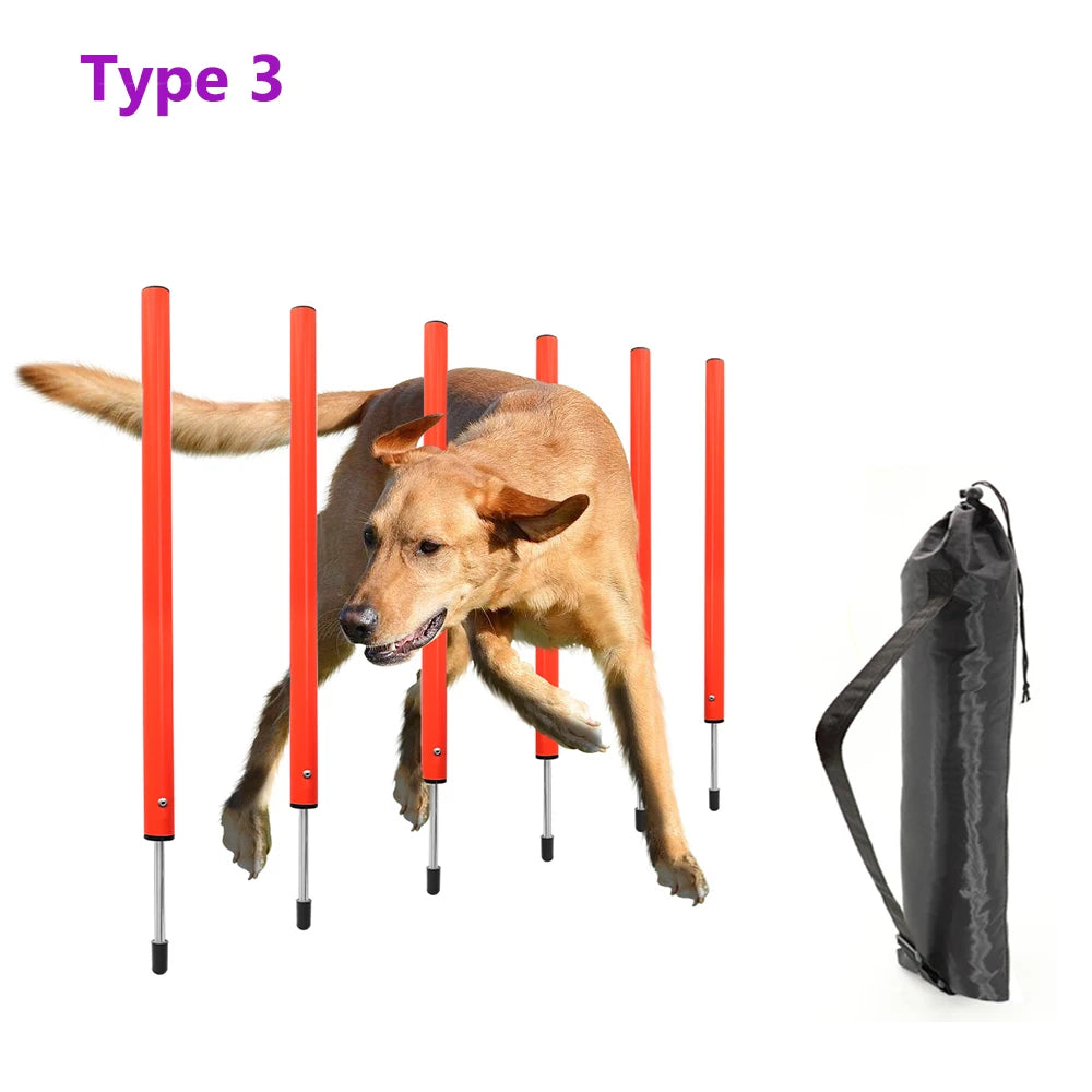 04-Dog Agility Equipment.