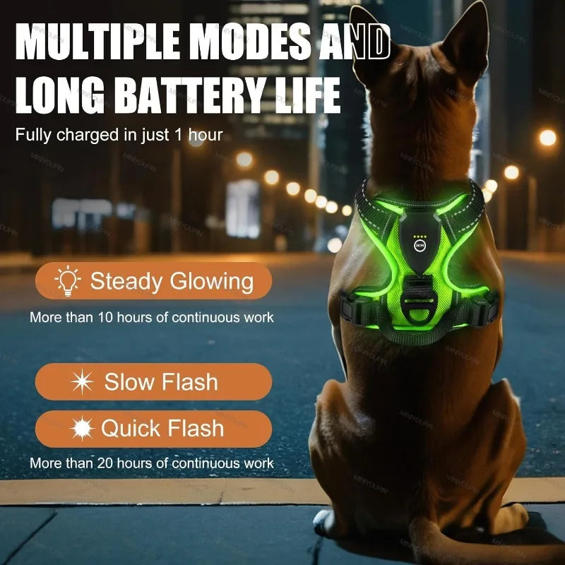 Pettorina LED luminosa per cani – Pettorina con modalità di luce a LED, essenziale per la sicurezza durante le passeggiate notturne, ricaricabile e con tre modalità di illuminazione.