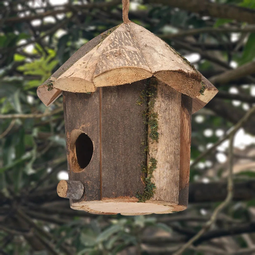Mini casa per colibrì artigianale.