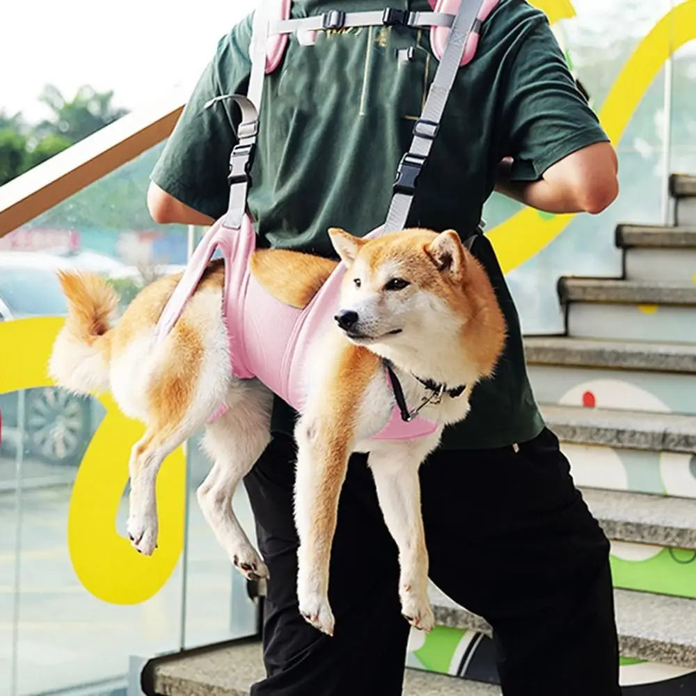 Trasportini Soft Pet Carrier Bags Big Capacity Breathable Dog Duffel Bag Adjustable with Safety Strap and Pocket Dog Sling Harness Summer