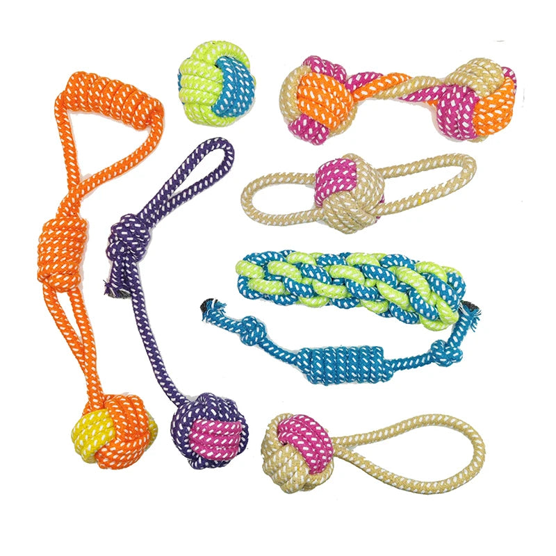 04-Gioco interattivo pet Toys.