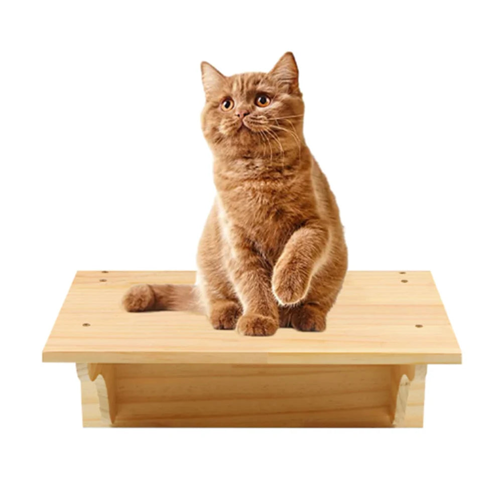 04a-Albero da Parete per Gatti – Ripiani, Amaca e Scala in Legno
