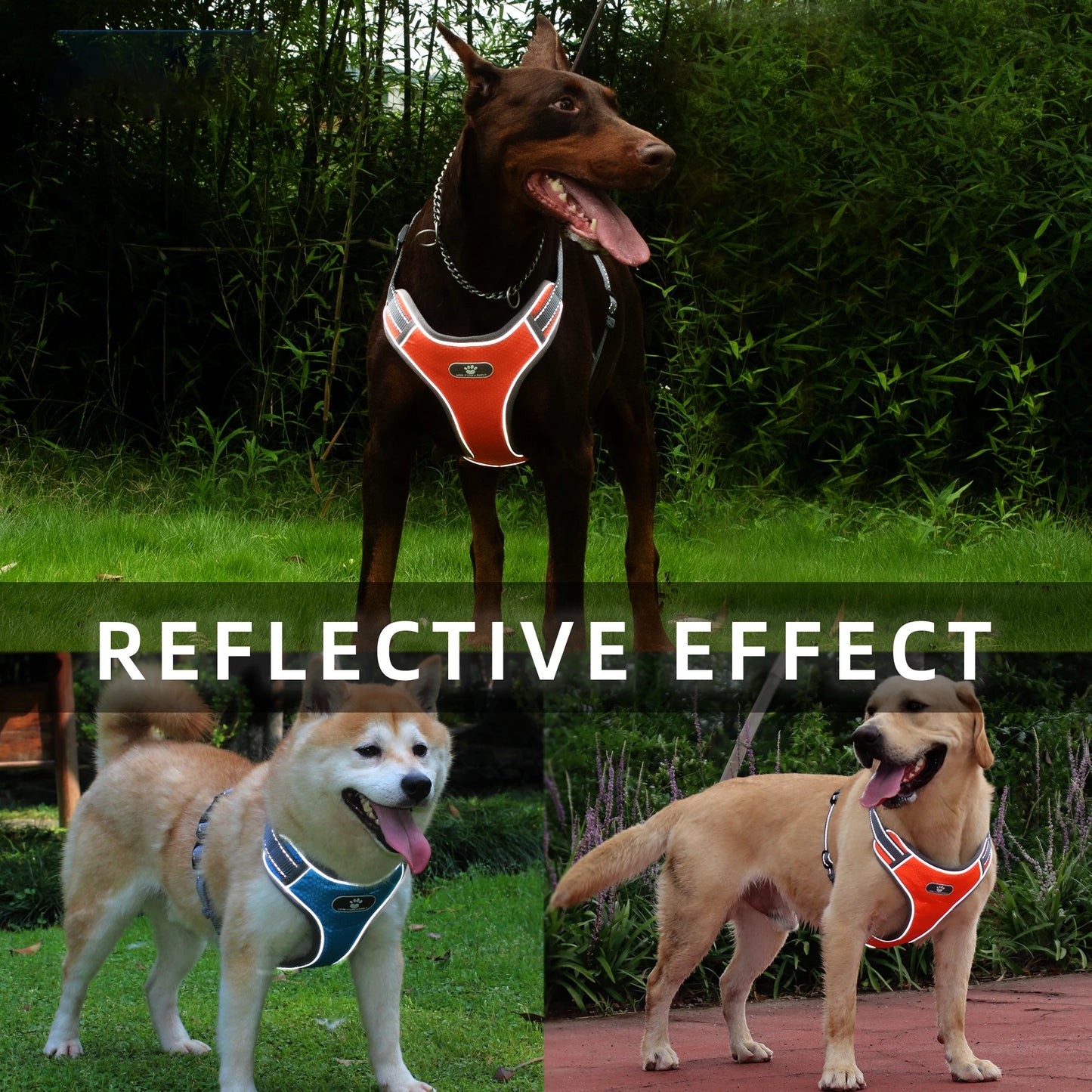 03-Pettorina riflettente impermeabile per cani medi e grandi