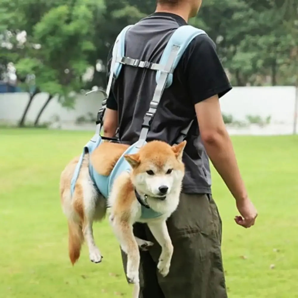 Trasportini Soft Pet Carrier Bags Big Capacity Breathable Dog Duffel Bag Adjustable with Safety Strap and Pocket Dog Sling Harness Summer