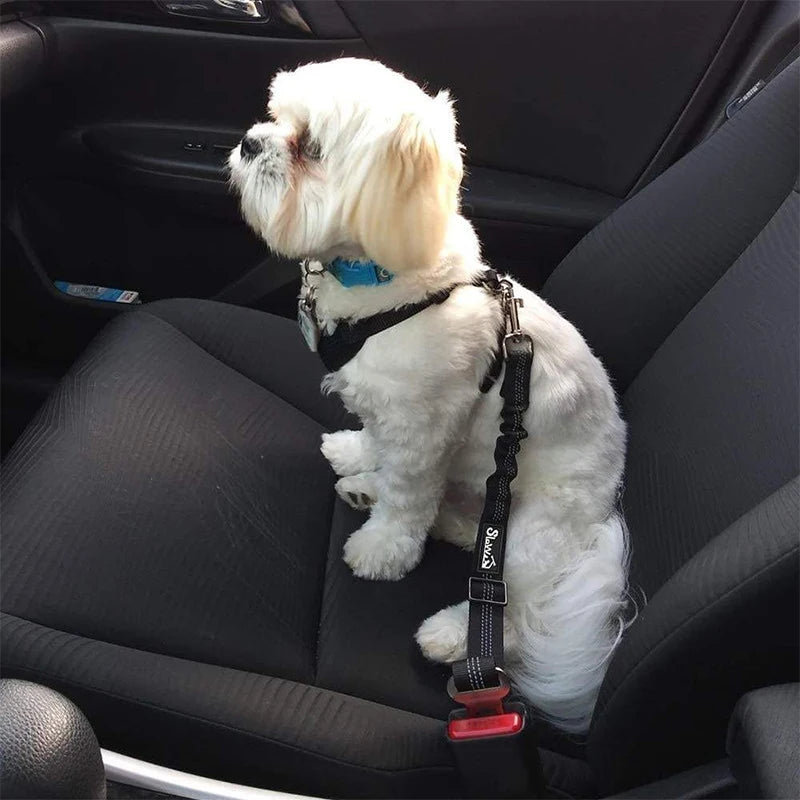 001-Cintura di Sicurezza per Cani – Guinzaglio Regolabile