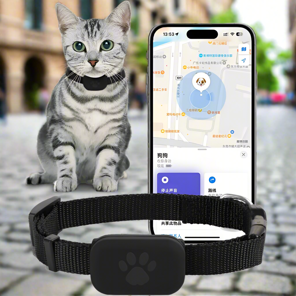 05-Bluetooth GPS Tracker Dog.