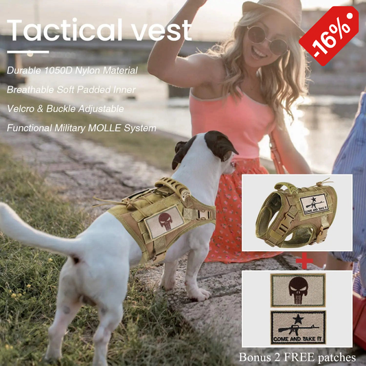 03-Gilet Tattico Regolabile per Cani Piccoli – Outdoor & Allenamento