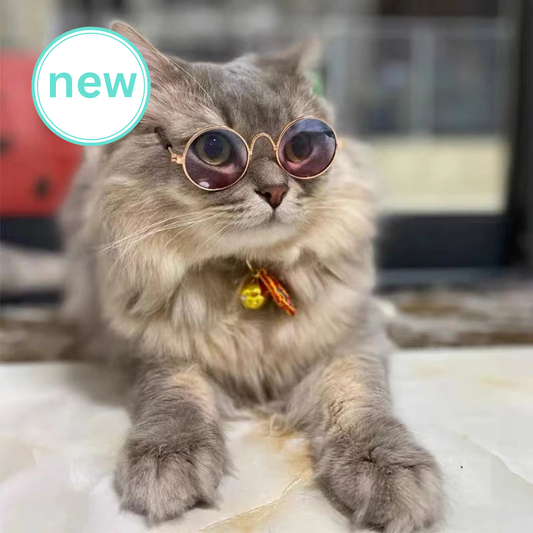 001-Occhiali Tondi Vintage per Cani e Gatti