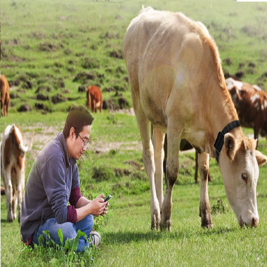 05a-Collar GPS Tracking Animal.