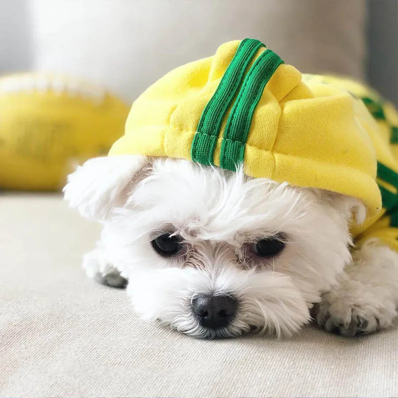 Tracksuit for Dogs Spring Autumn Dog Clothes Sport Sweatshirt Jumpsuit for Small Dogs French Bulldog Yorkie Chihuahua Hoodies