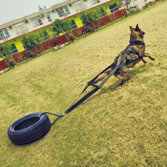 001-Pettorina da Trascinamento per Cani di Grossa Taglia