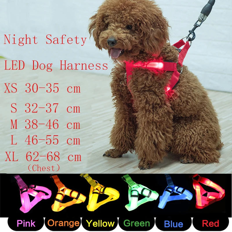 001-Imbracatura LED per cani | Pettorina sicura e luminosa - Dog Harness