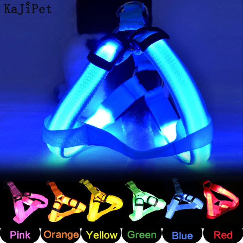 001-Imbracatura LED per cani | Pettorina sicura e luminosa - Dog Harness