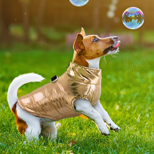 03-Giubbotto Invernale per Cani Piccola Taglia