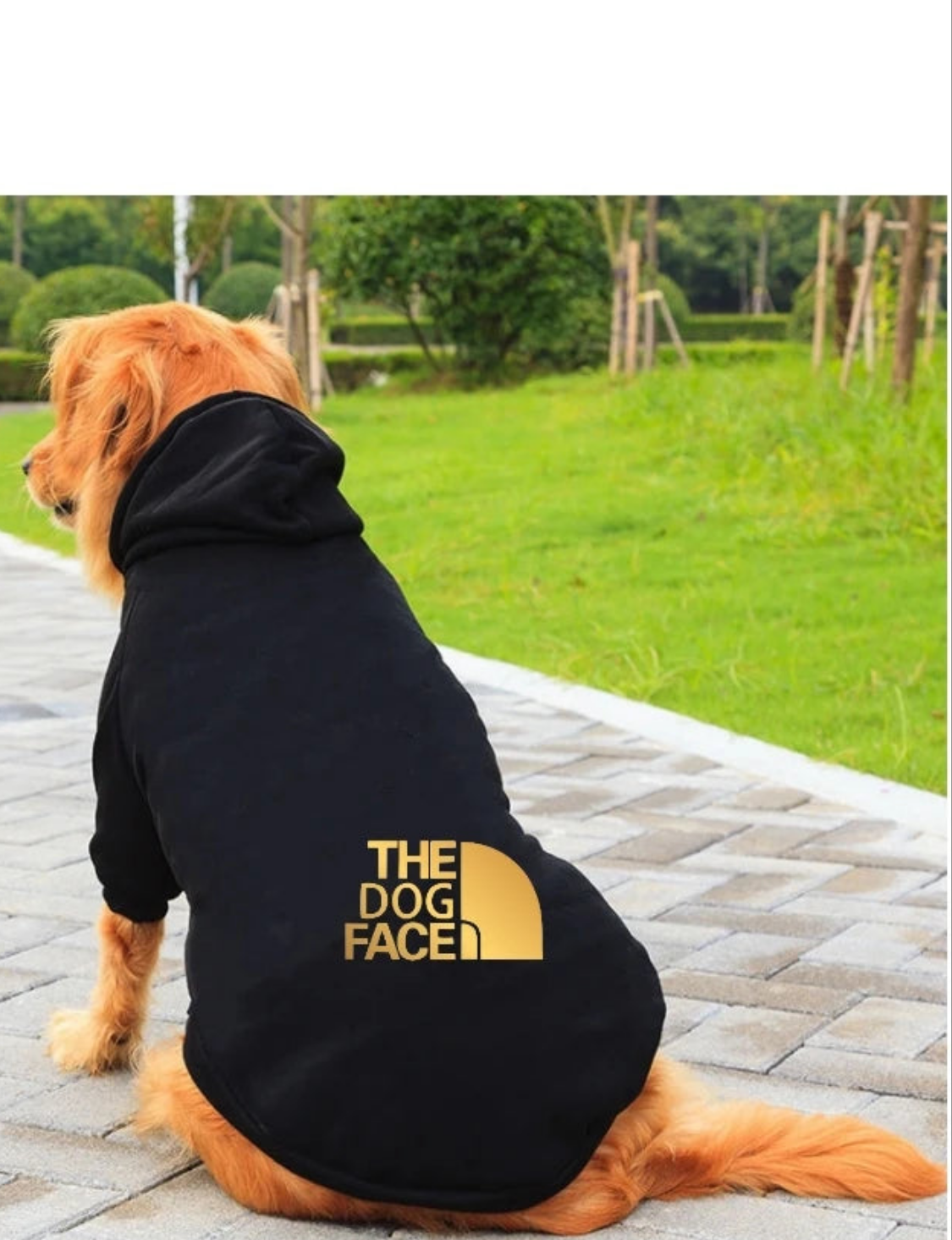 Vestiti fashion large dog outfits cool clothes autumn winter puppy letter printed  hoodies accesorios puppy jumper designer