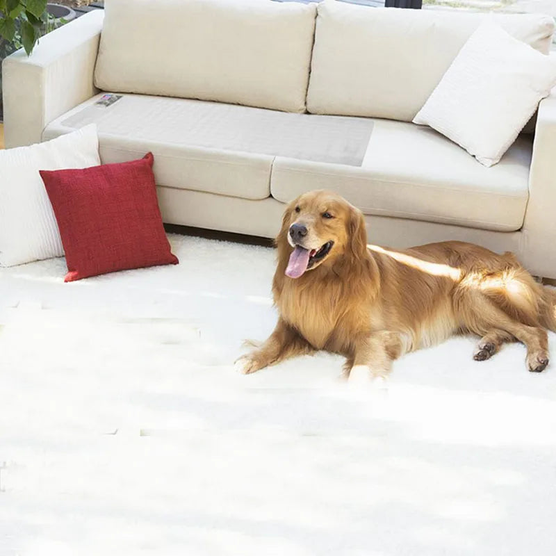 Tappetini Pet Training Mat Electrostatic Isolation Blanket Cat Dog Repellent Mat  Prevent Pets Damage Protected Areas Pet Barrier Mat