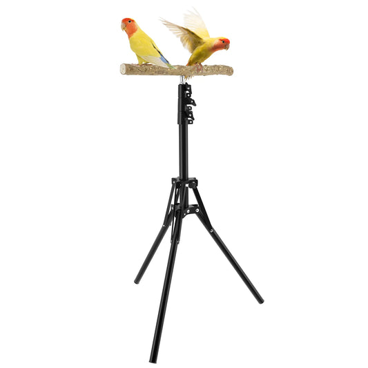 Stand Height Adjustable Bird Perch Toys Indoor Outdoor Versatile Bird Parrot Play Training Station Pole Wood Bird Training Perch