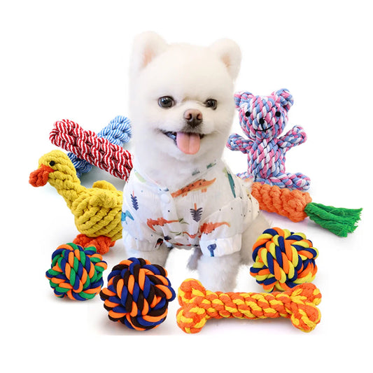 04-Giochi interattivi per cani.