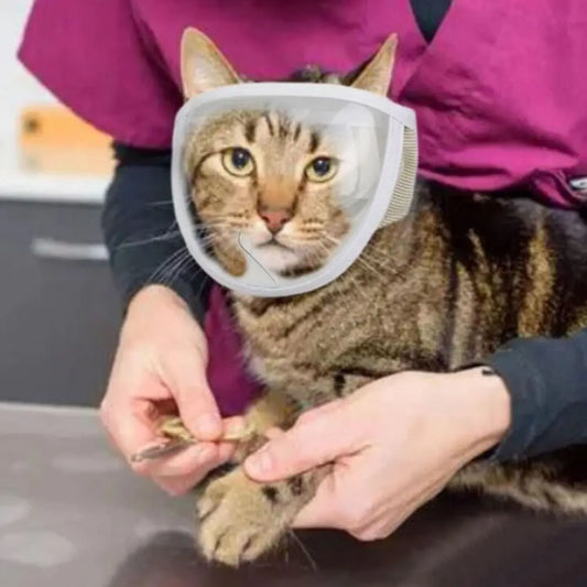 001-Museruola morbida anti-morso per gatti, regolabile e sicura