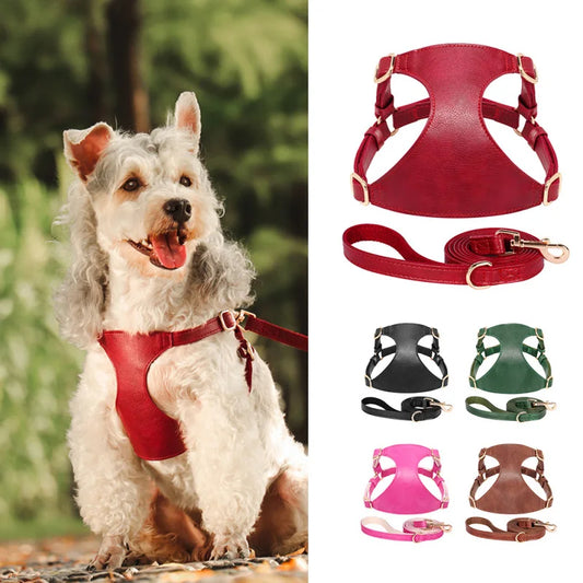 Pettorina PU Leather Dog Harness Leash Set Dog Cat Chest Strap Traction 5ft Rope Walking Vest Harness for Small Medium Dogs Pet Supplies